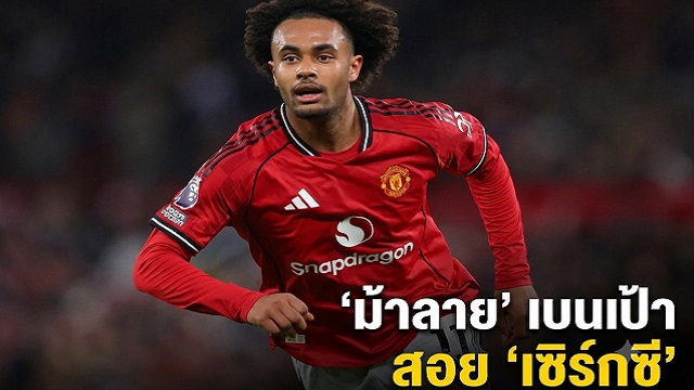 ม้าลาย-เบนเป้า-สอย-เซิร์กซี