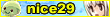 nice29